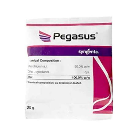 Pegasus