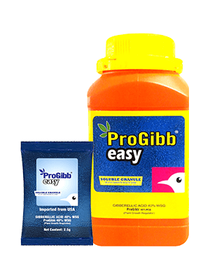 ProGibb Easy manufacturer product reference; confirm current pack
