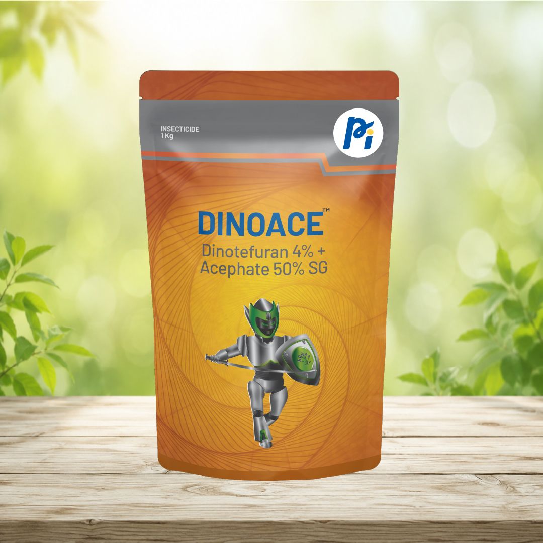 Dinoace manufacturer product reference; confirm current pack