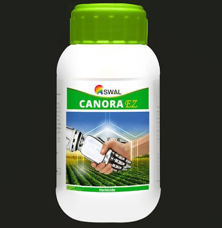 Canora EZ