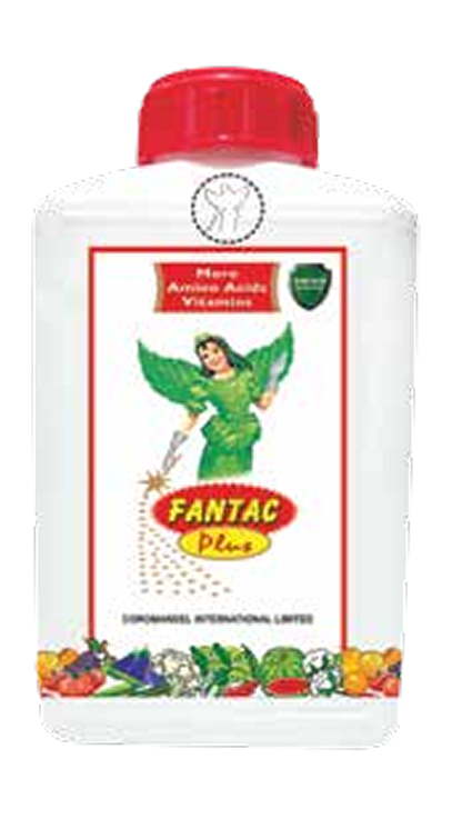 Fantac Plus manufacturer product reference; confirm current pack