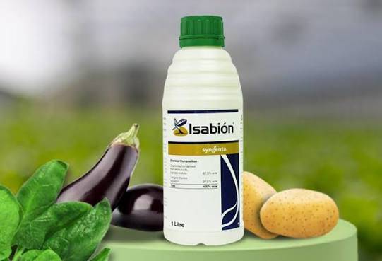 Isabion