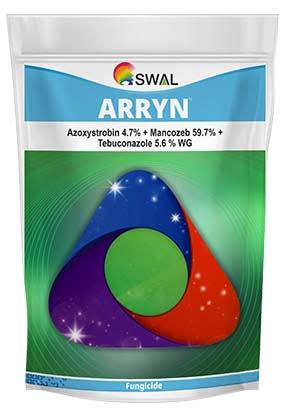 Arryn